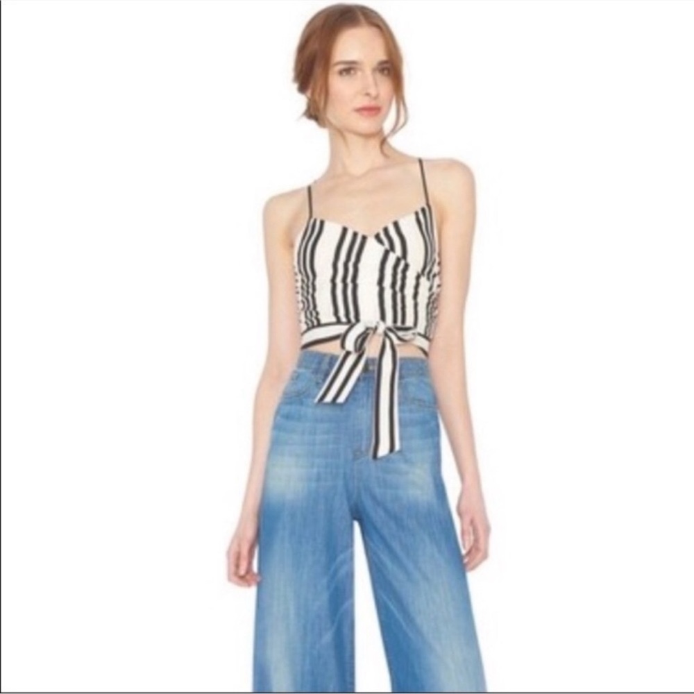 Alice + Olivia Rayna Striped Tie Crop Top
